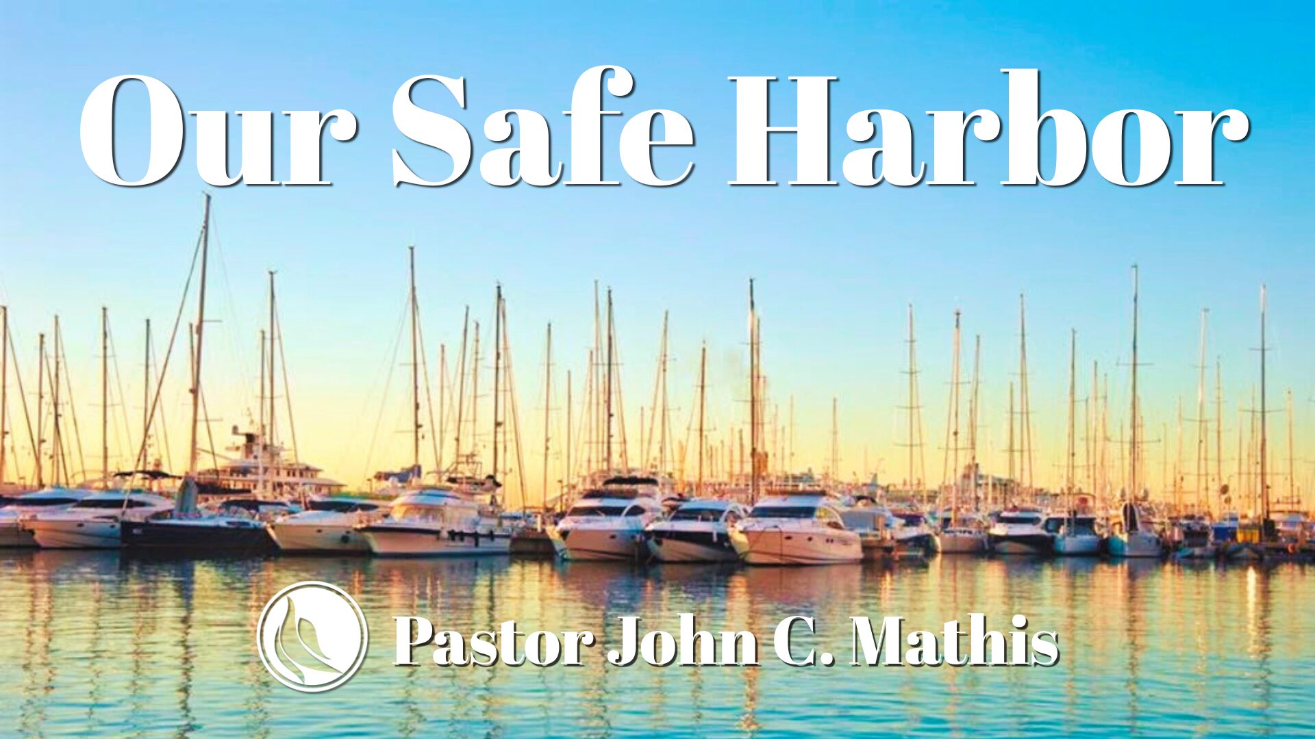 safe_harbor copy